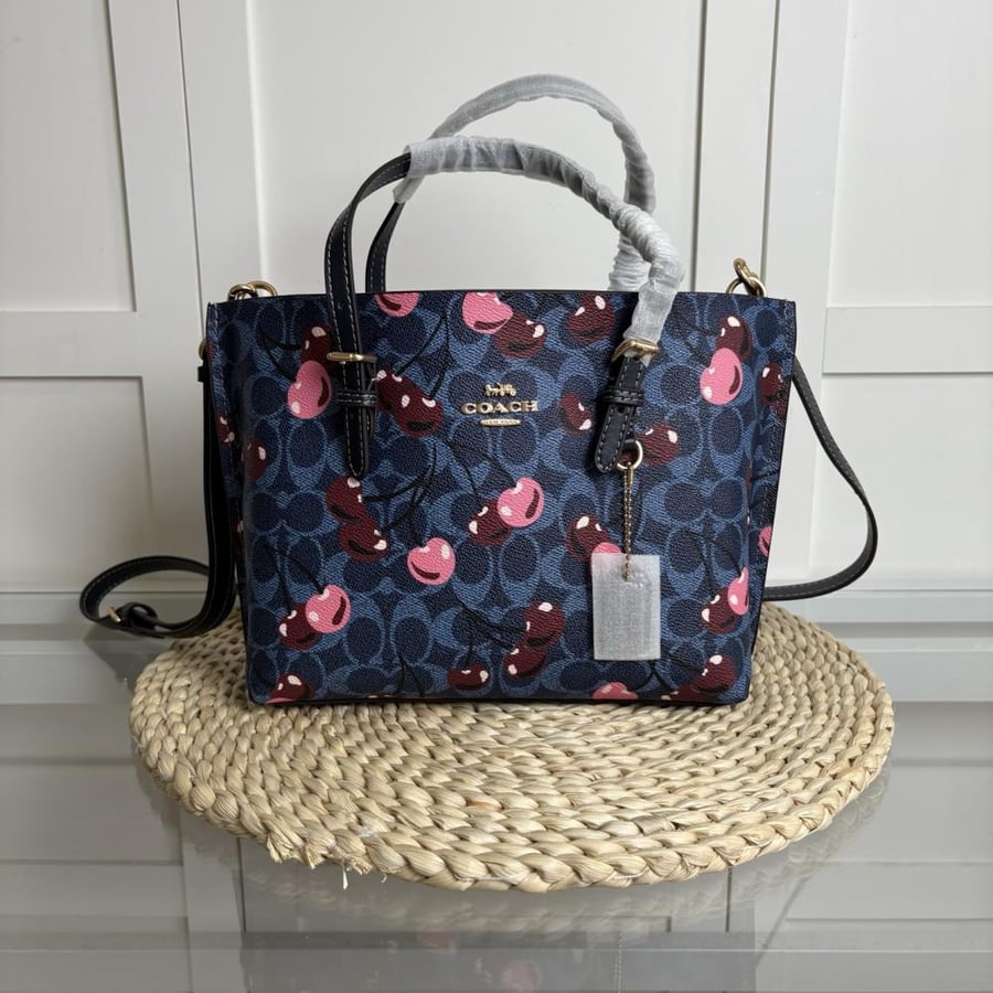 COACH small tote bag
