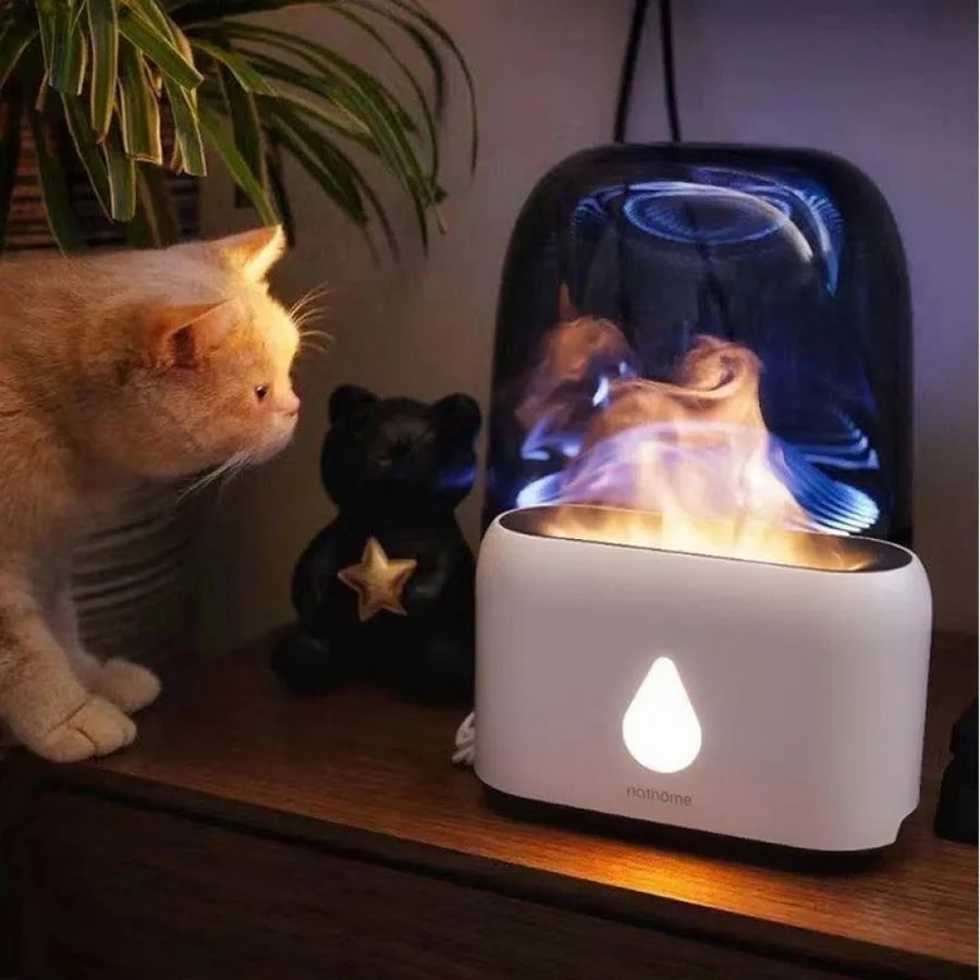 Caroniya diffuser