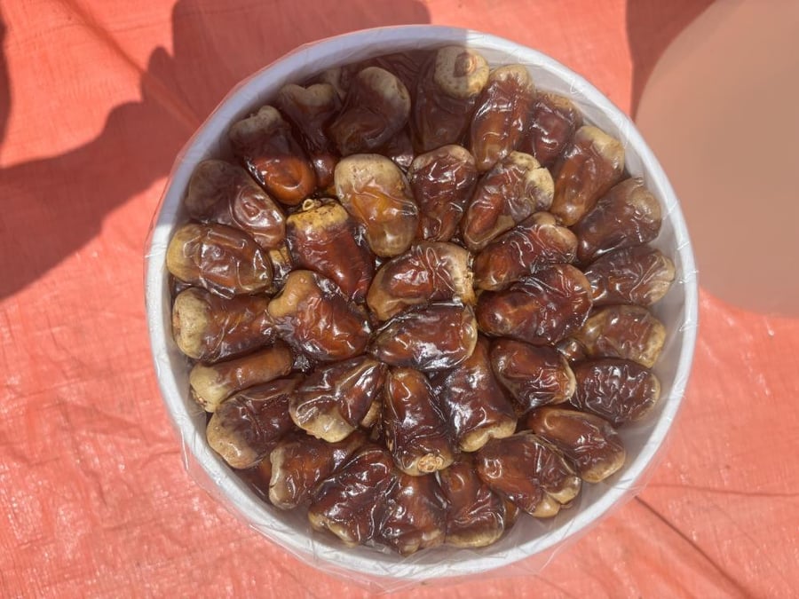 برني العيص الفاخر مكنوز رقم 2 - 5k