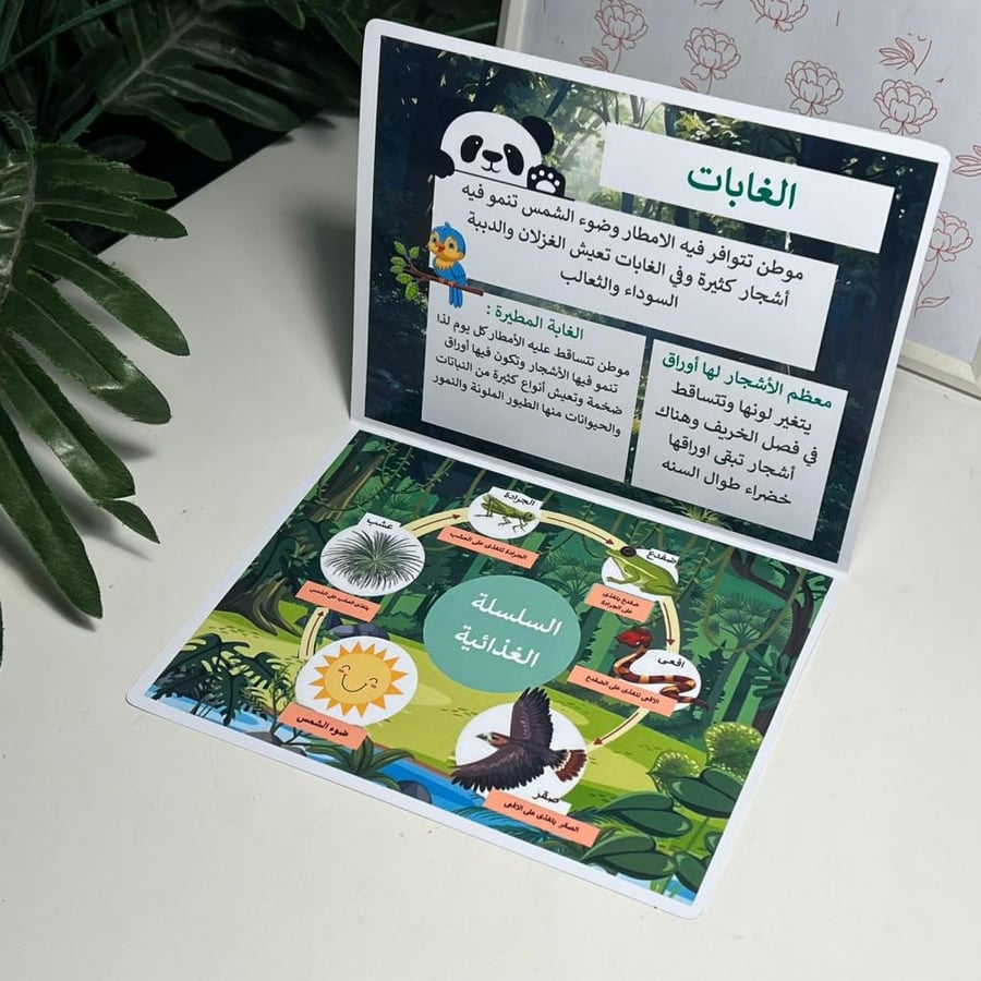 ملف مطوية السلسله الغذائية و الغابات