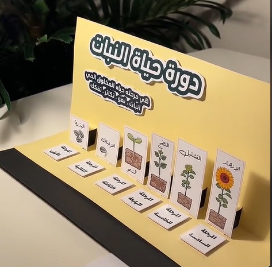 ملف دورة حياة النباتات