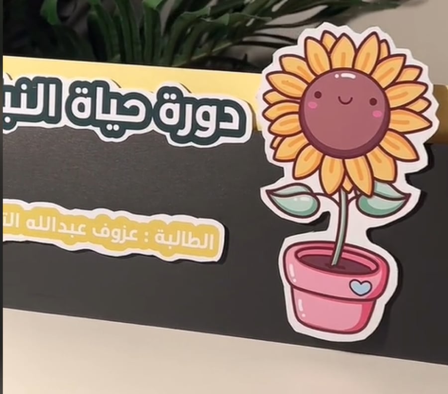 ملف دورة حياة النباتات