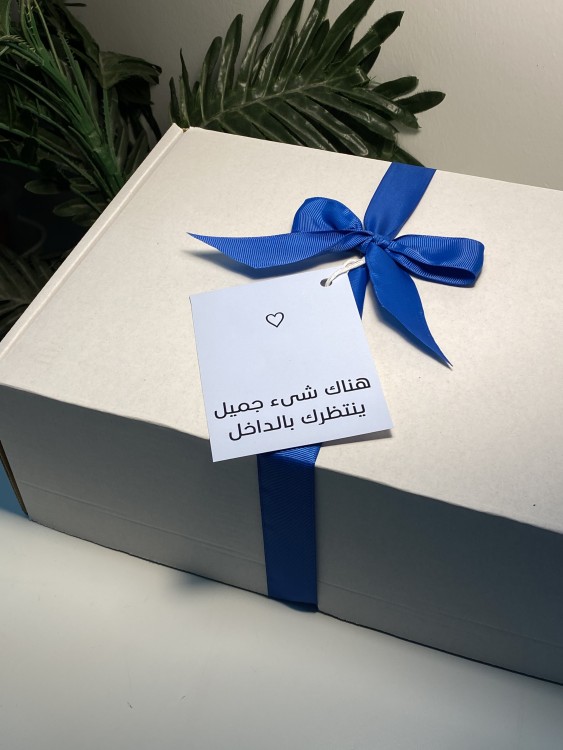 هودي ستيتش
