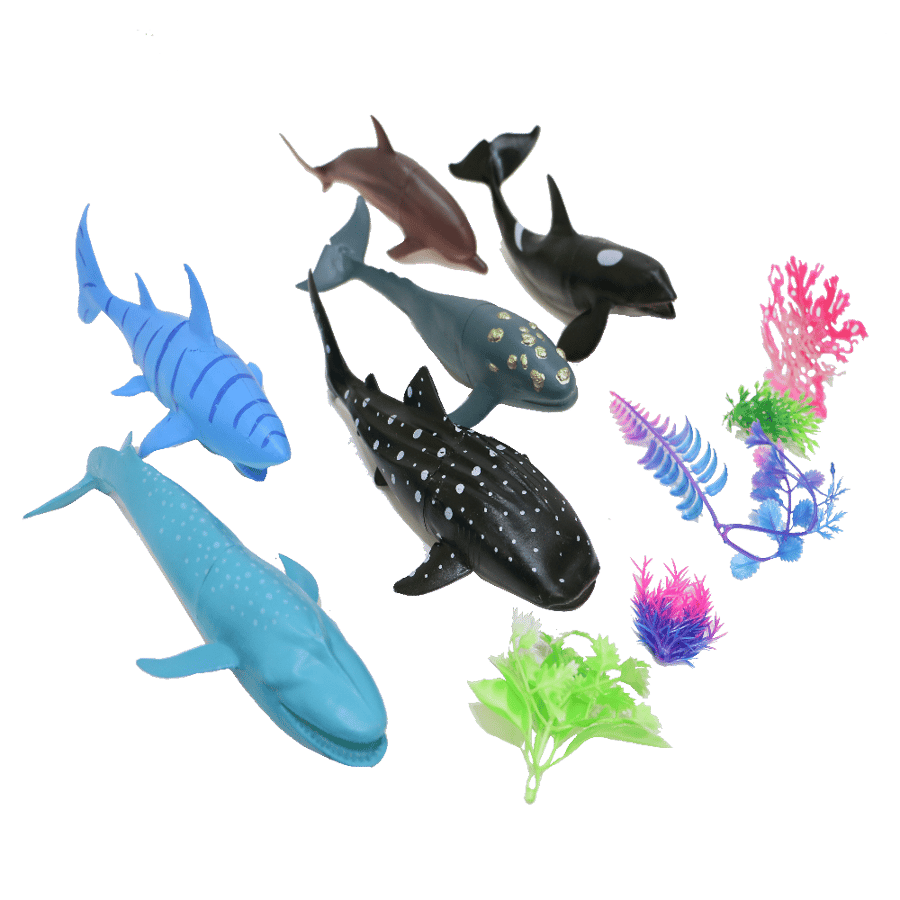 Dozen fish