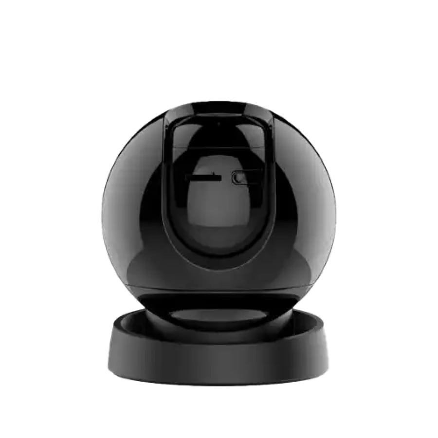 Rex surveillance camera