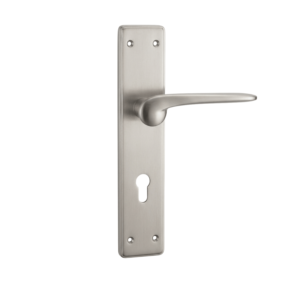 Zinc plate grip Kangoo 1118