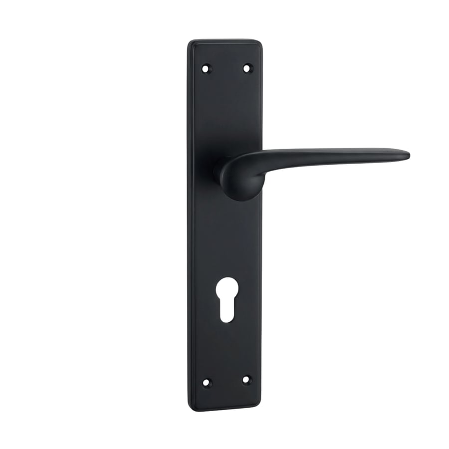 Zinc plate grip Kangoo 1118
