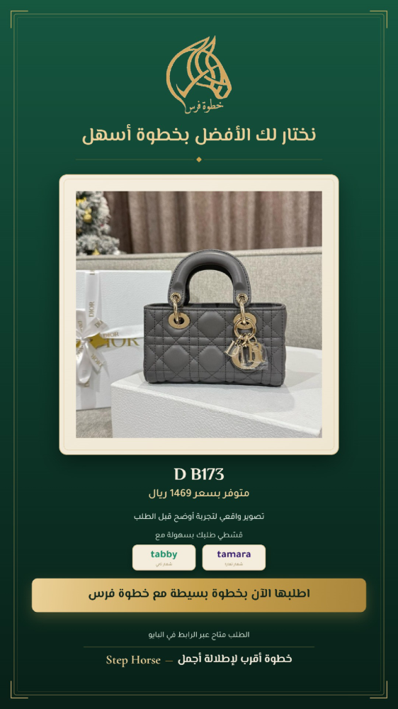 شنطة نسائية كروس صغيرة - مقاس 16 سم - رمز D B173