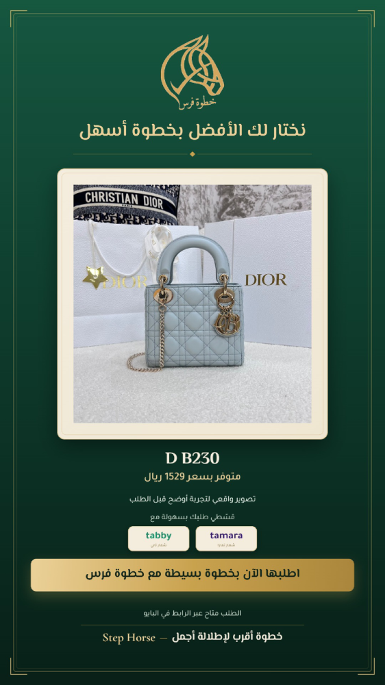 شنطة نسائية كروس صغيرة - مقاس 17 سم - رمز D B230