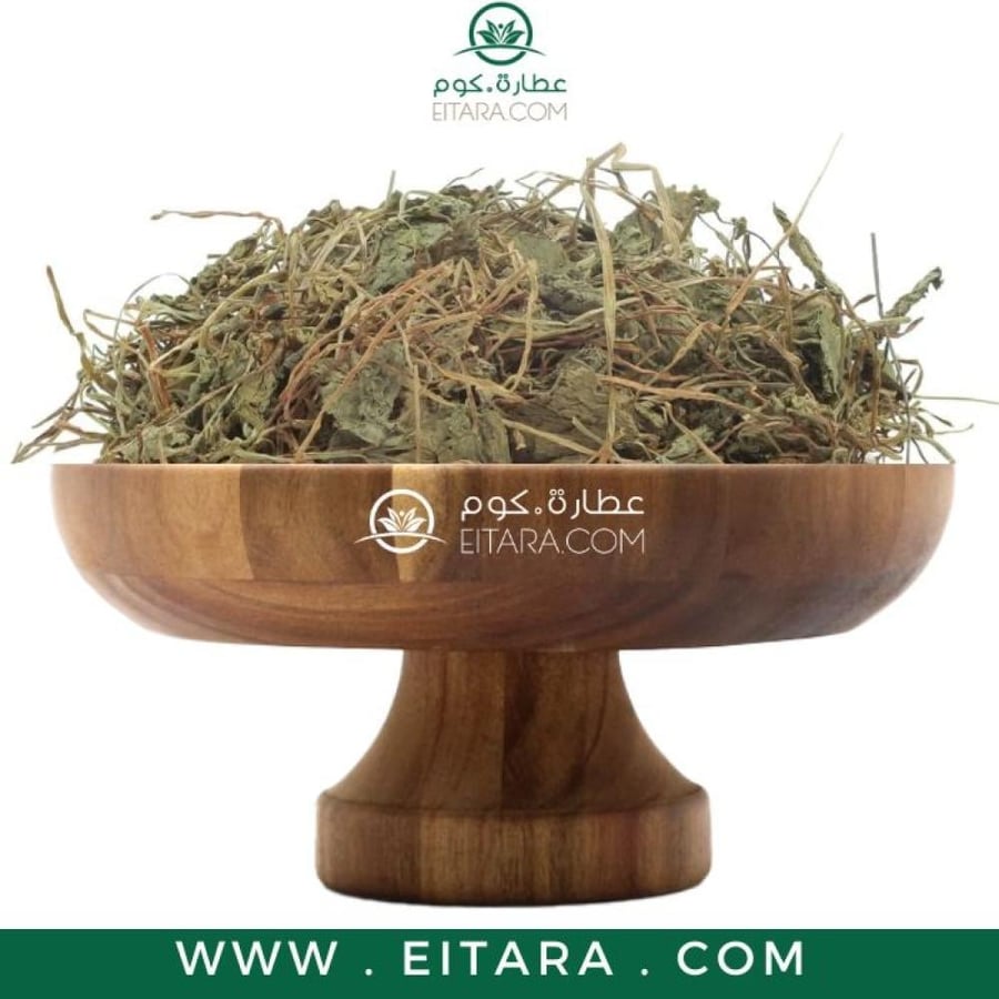 عشبة براهمي