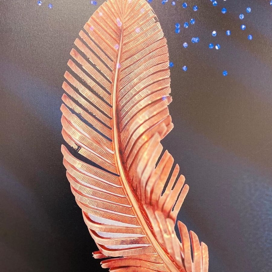 Canvas painting with a feather and wooden frame