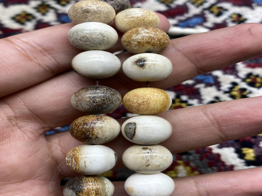 قرن غزال ٦٨ جرام ١٢ ملي ٤١ خرزه ١٢ ملي