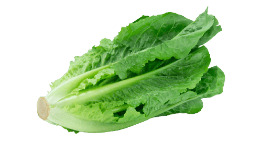 خس وزن
