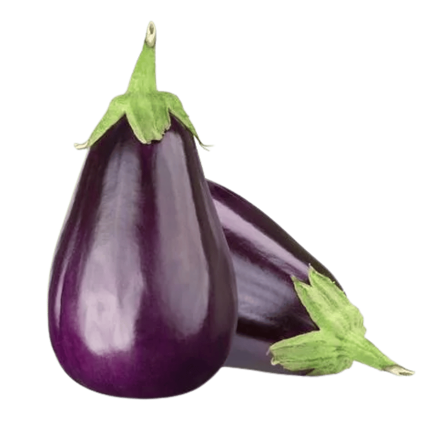 باذنجان
