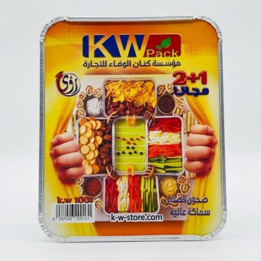 صحون قصدير 1+4 رؤى