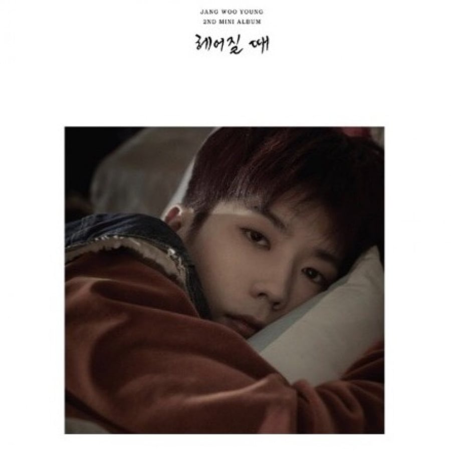 2PM Wooyoung mini Album - break up