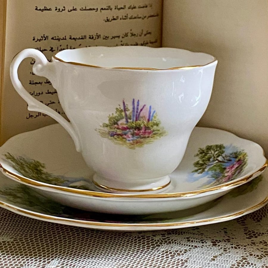Royal Standard – English Cottage Garden