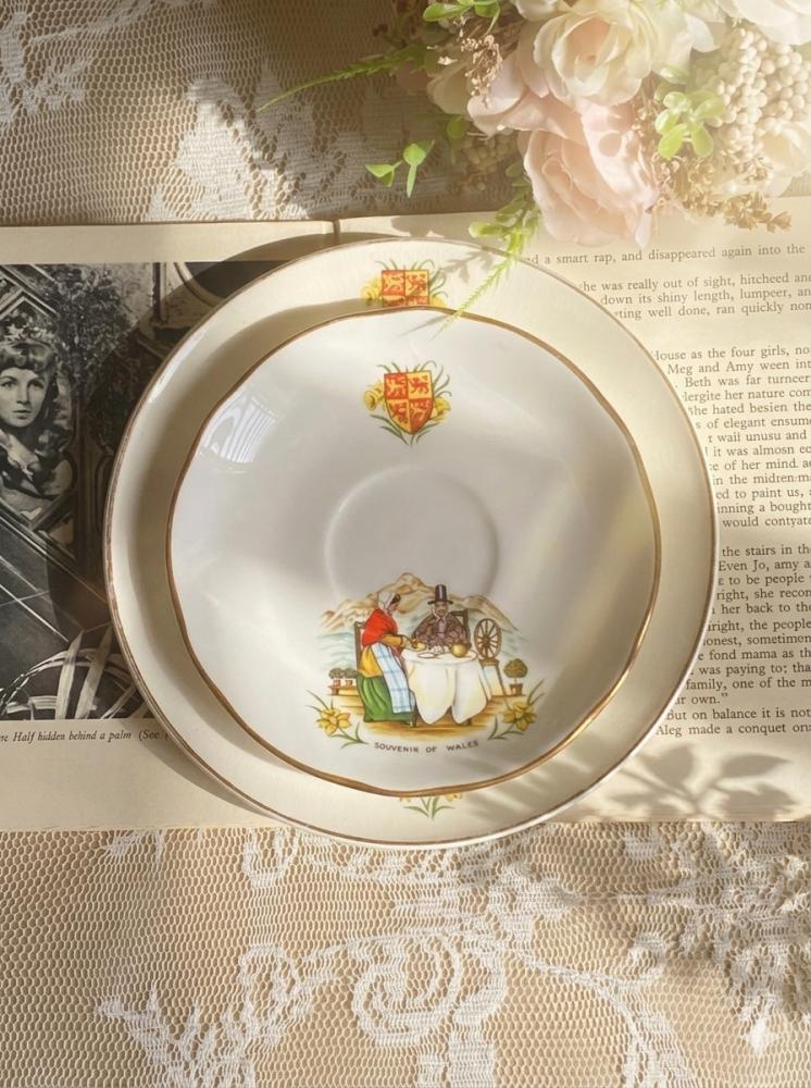 Souvenir of wales