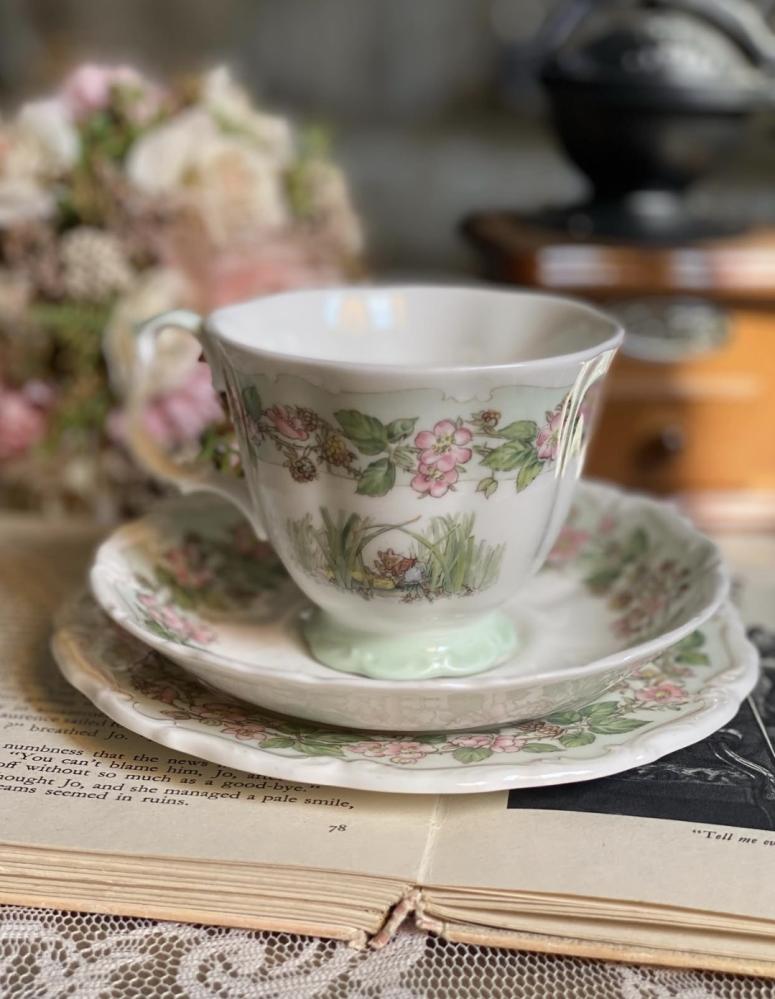 Brambly Hedge Royal Doulton Summer