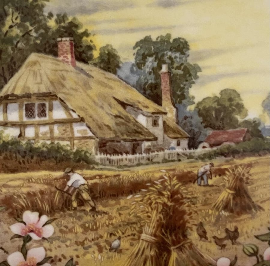 Royal Albert cottage garden years series