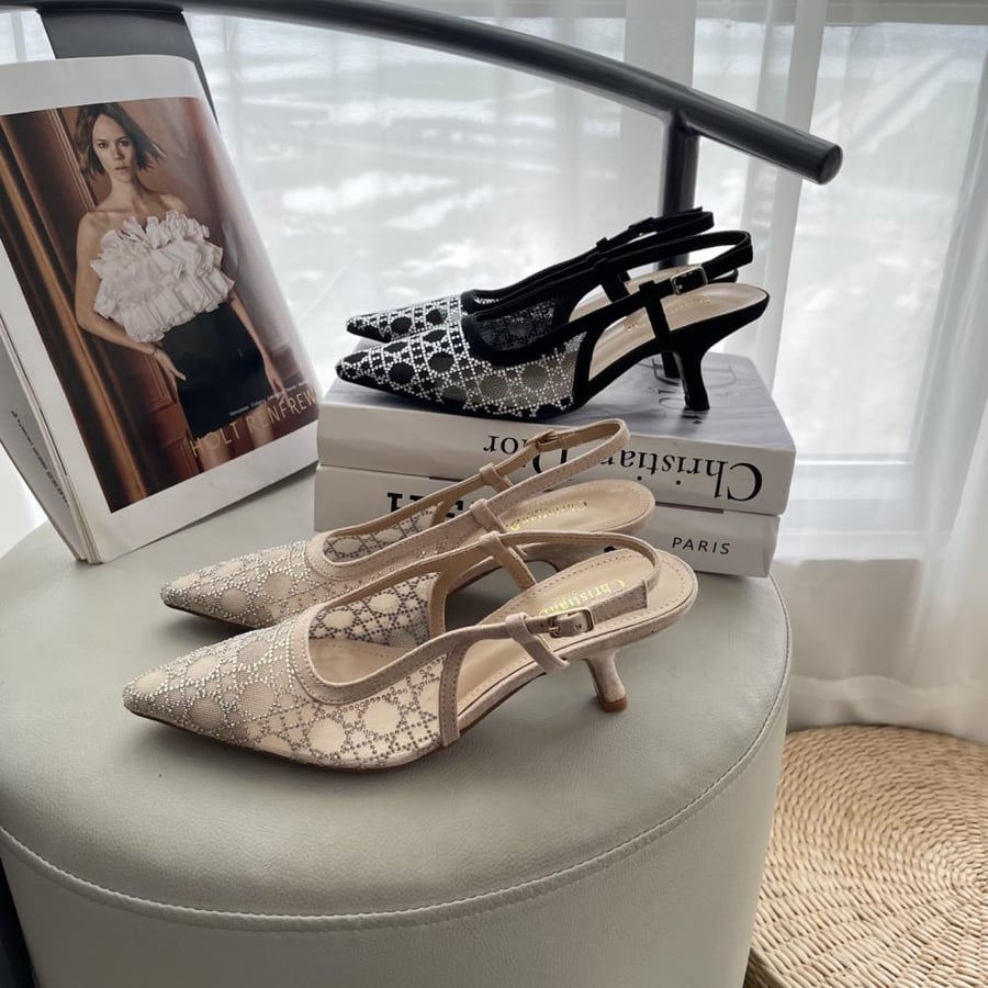 Dior 25ss Early Summer Mesh Kitten Heel