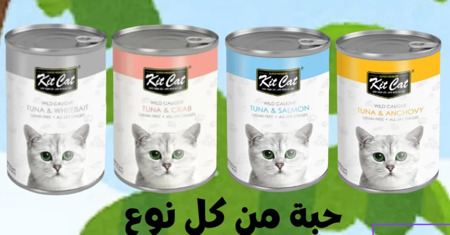 بوكس الصيف 2- 23 منتج