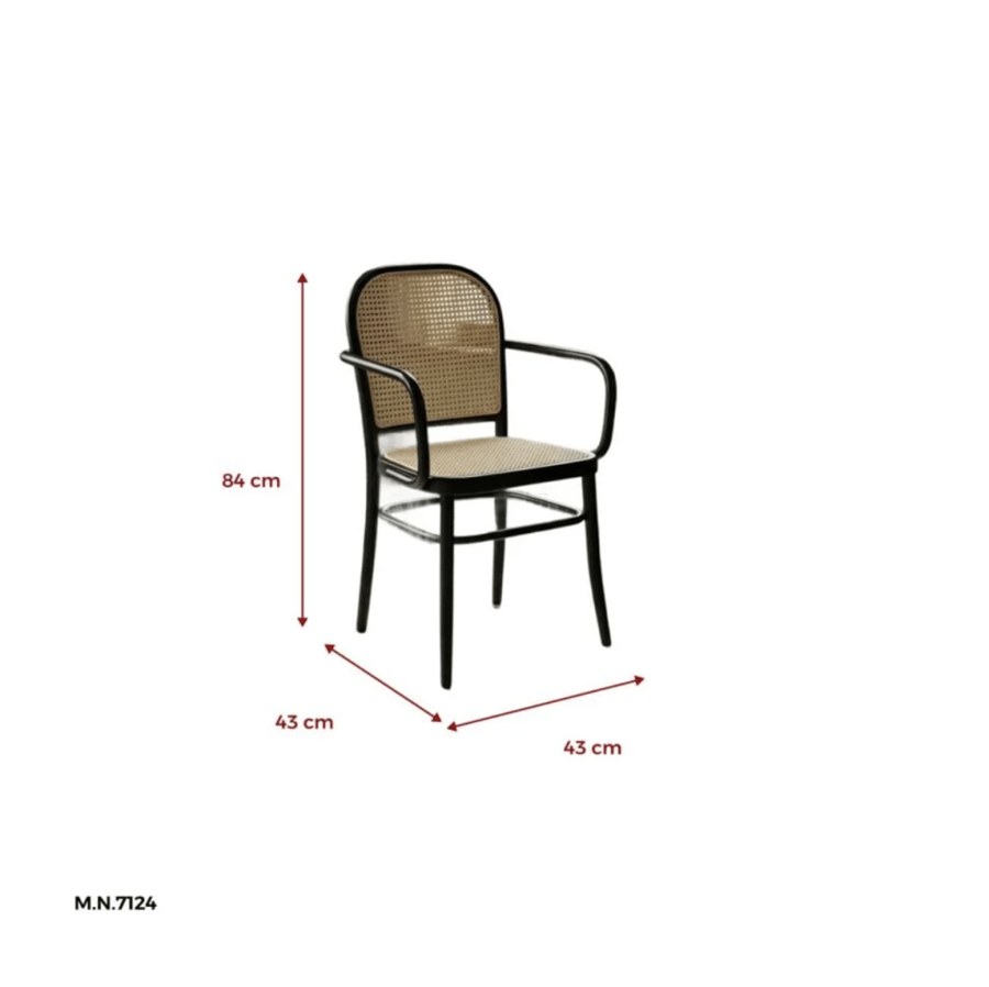 Cafe and restaurant chairs with a modern comfortable design