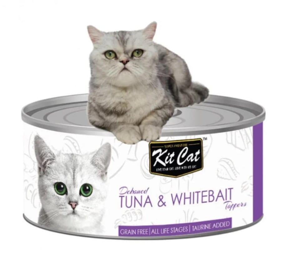 Tuna fillet Kit Kat and small fish 80 grams