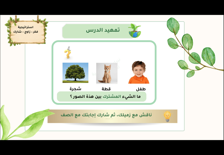 باقة عروض واختبارات علوم رابع ابتدائي – المنهج كامل