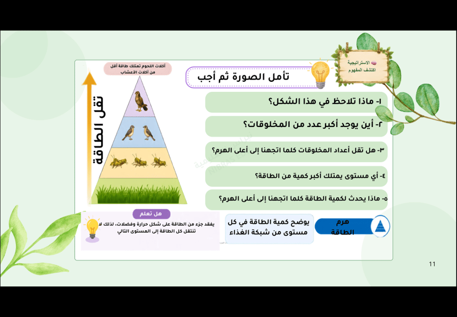 باقة عروض واختبارات علوم رابع ابتدائي – المنهج كامل
