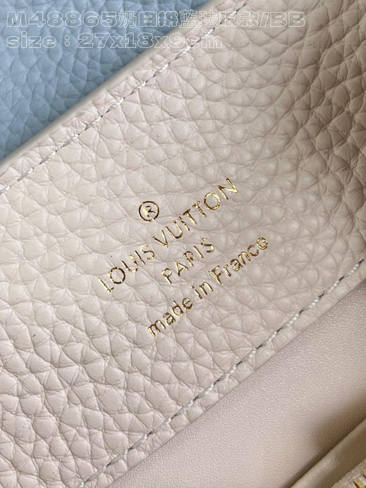 LV bag nightmare mini 21cm