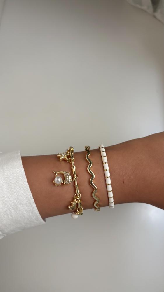 Dolphin set