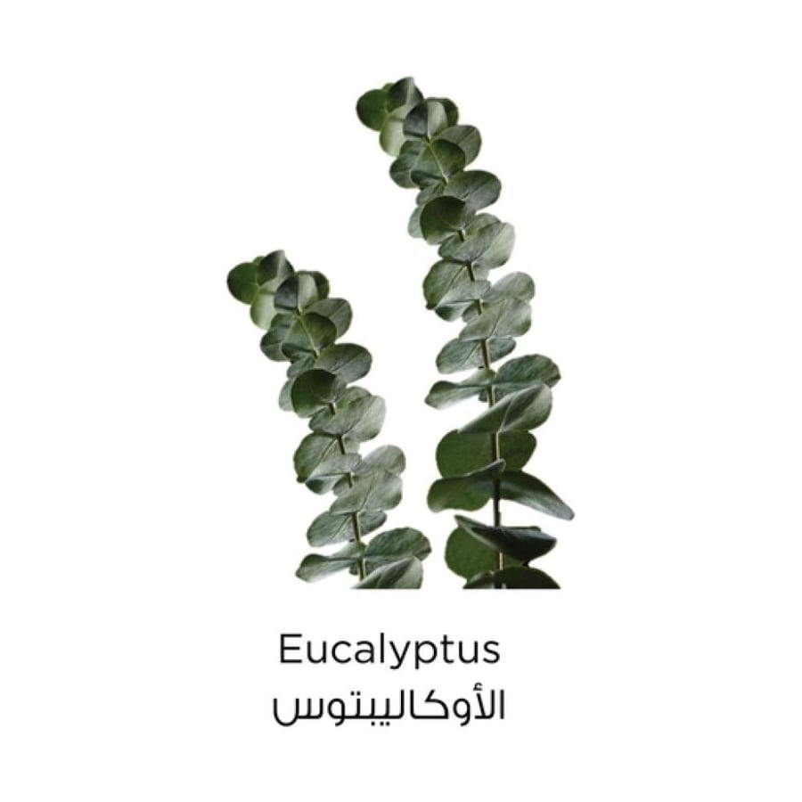 لوريال باريس غسول منظف بالطين النقي 150 مل