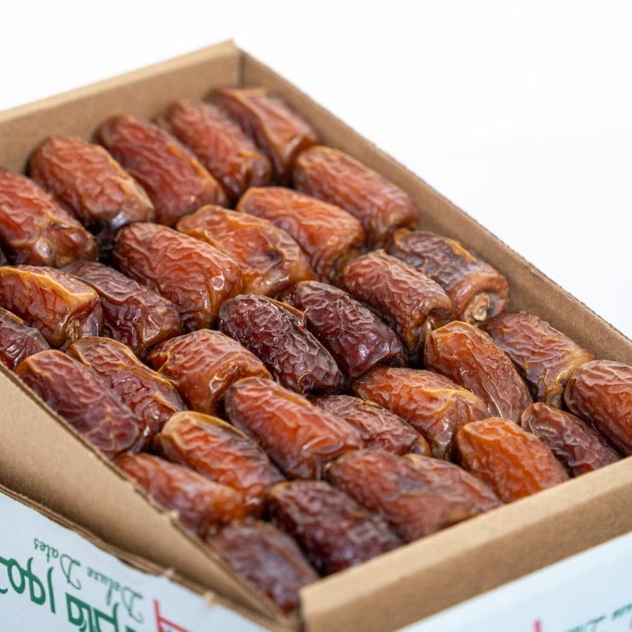 ربيعة
