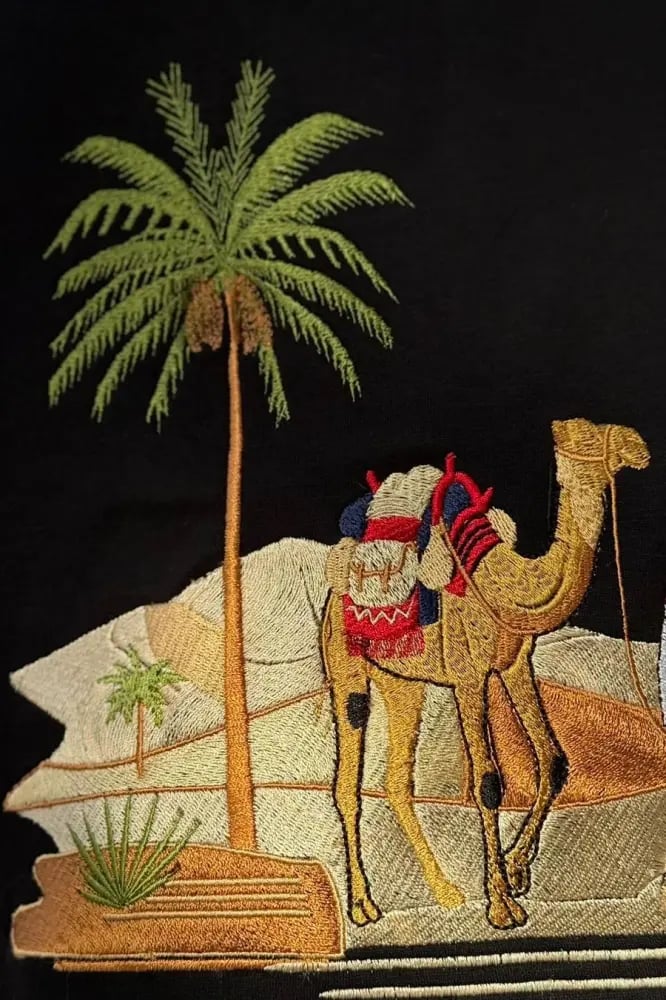هودي ناقة