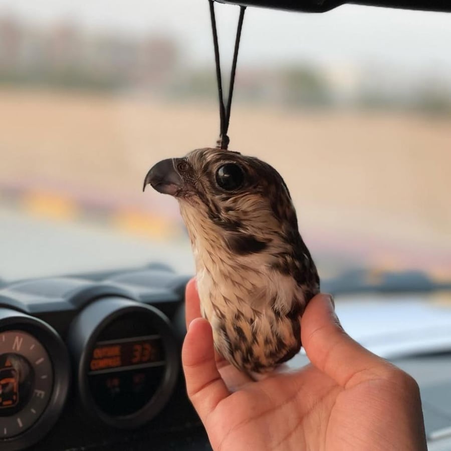 تعليقة راس الصقر