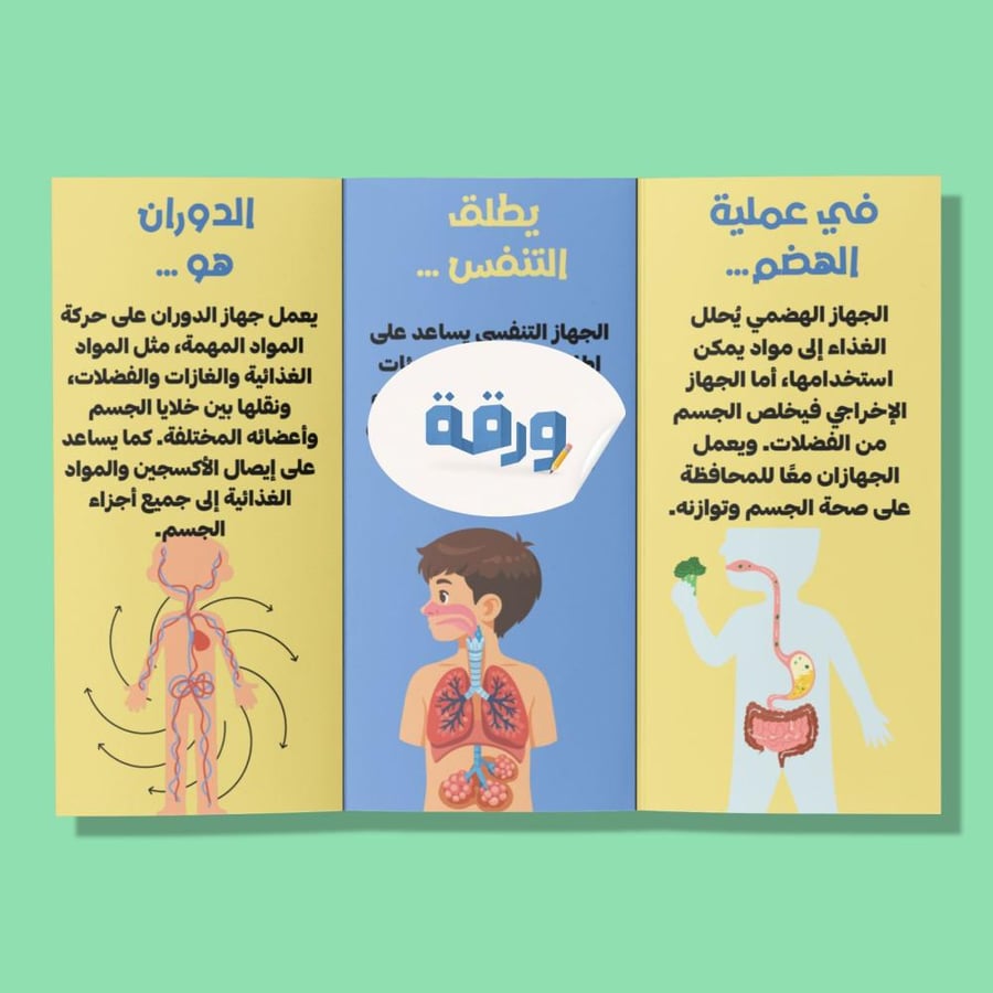 ‎الهضم والإخراج والتنفس والدوران-٦