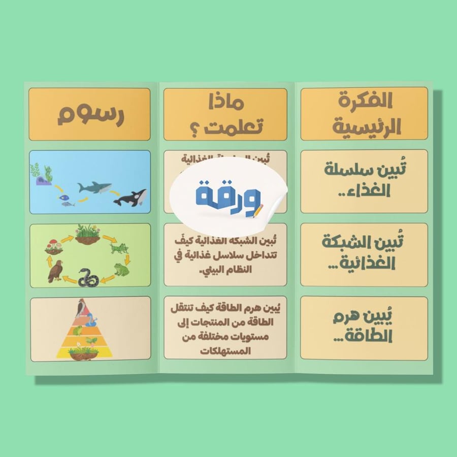 ‎السلاسل والشبكات الغذائية وهرم الطاقة—٦