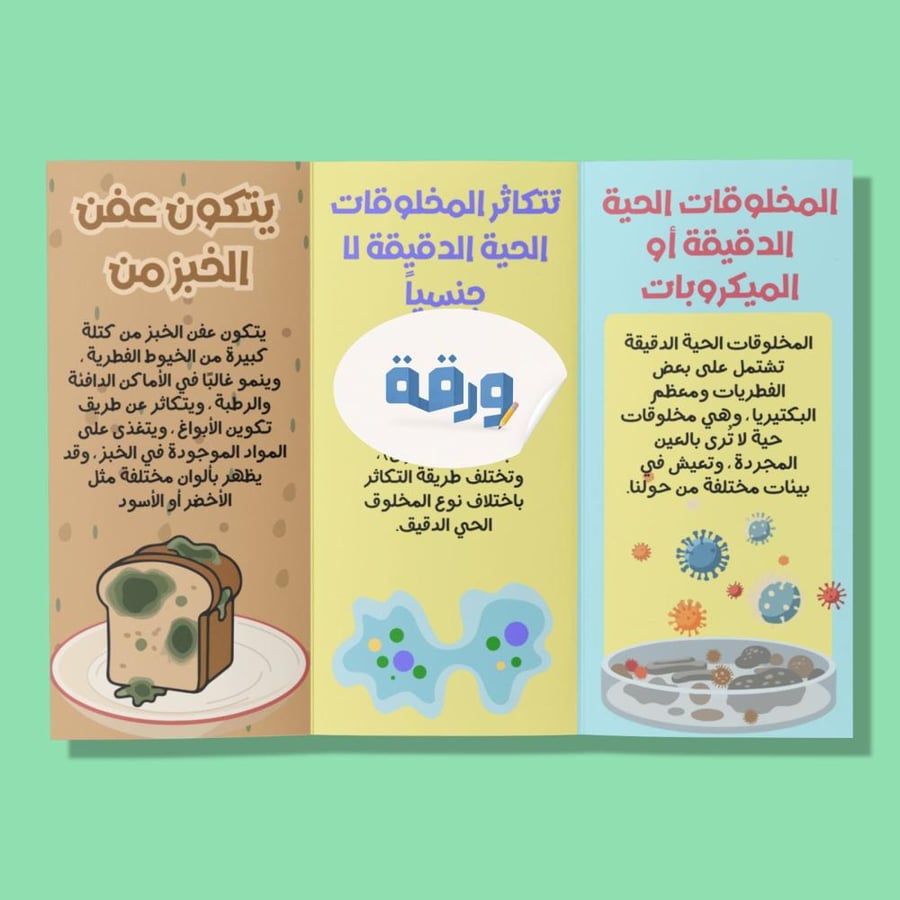 عمليات الحية في المخلوقات الحية الدقيقة-٦