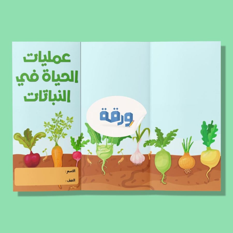 عمليات الحياة في النباتات-٦