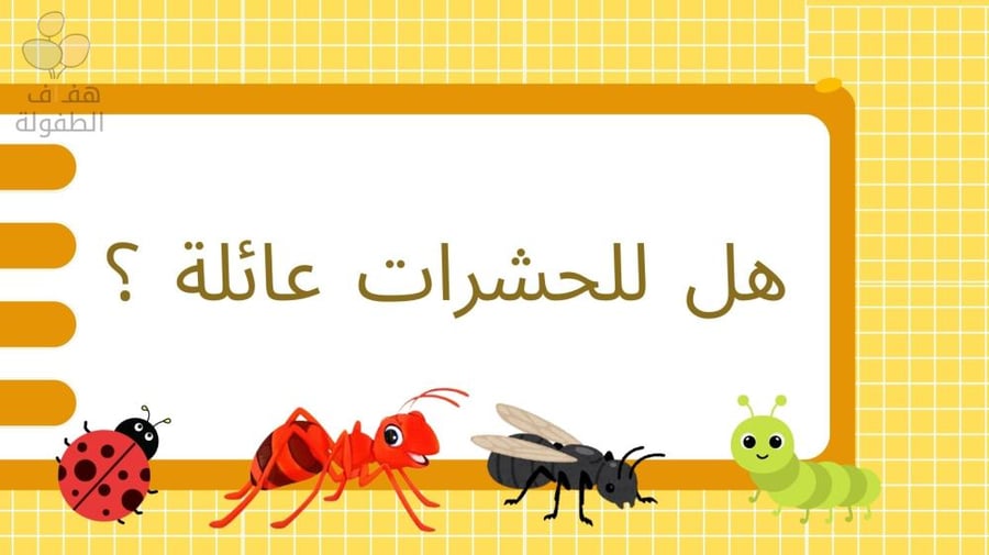 هل للحشرات عائلة؟
