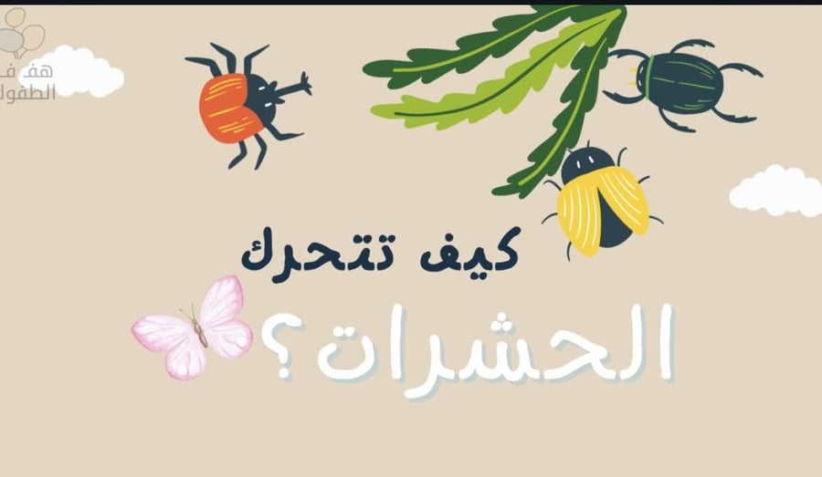 كيف تتحرك الحشرات ؟