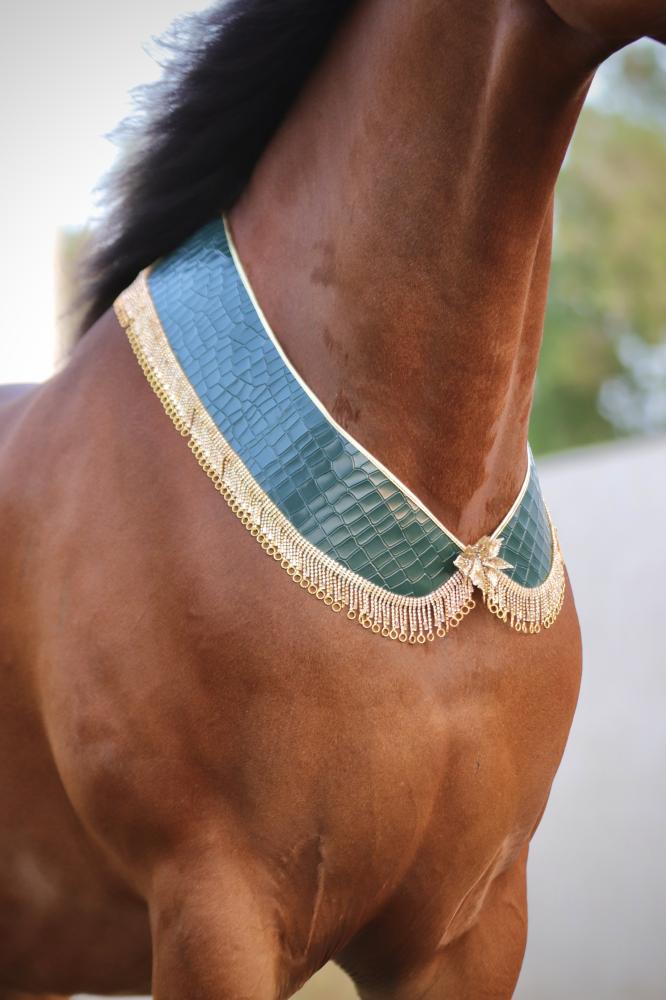 اكسسوار خيل E56