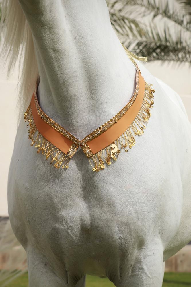 اكسسوار خيل E9 " مباعة - Sold Out "