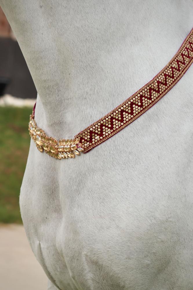 Horse accessory E17
