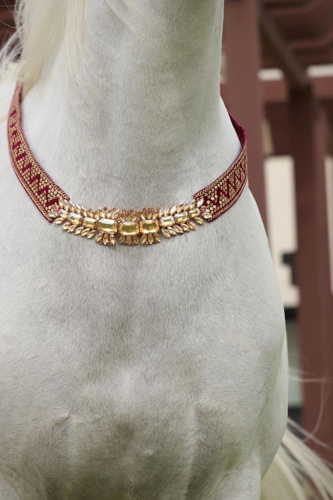Horse accessory E17