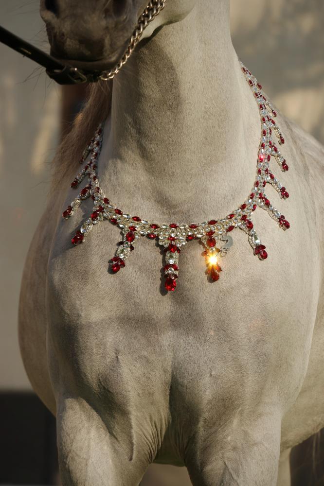 اكسسوار خيل E72