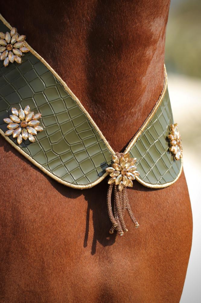 اكسسوار خيل E80