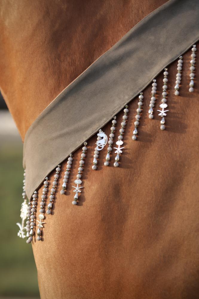 اكسسوار خيل E47 " مباعة - Sold Out "