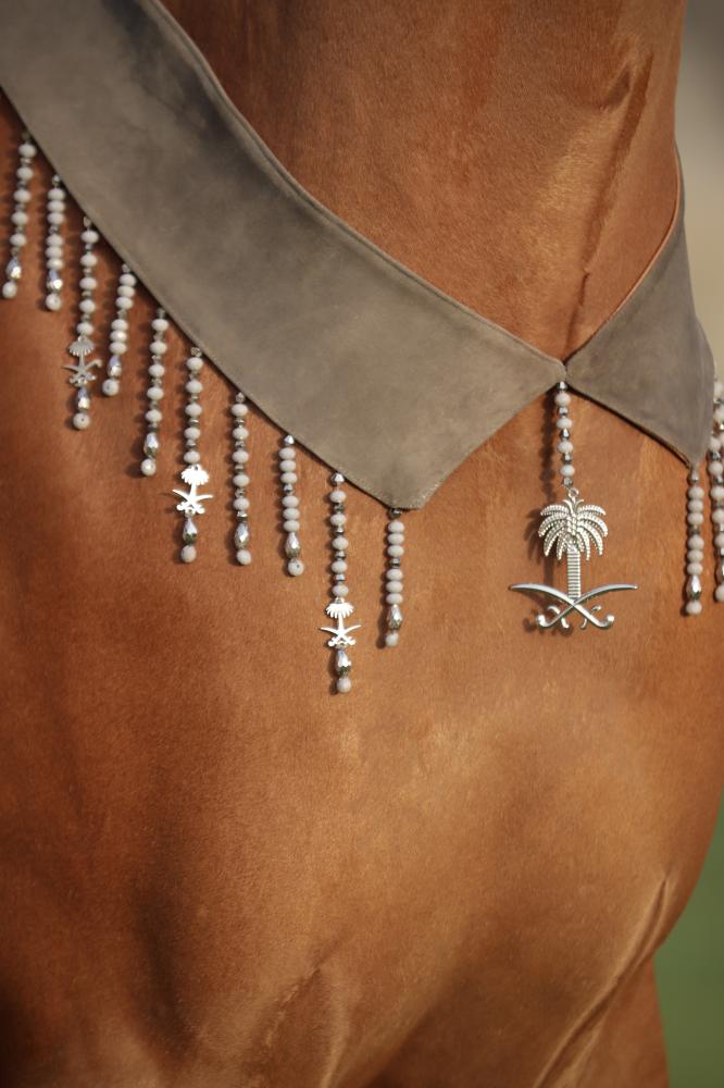 اكسسوار خيل E47 " مباعة - Sold Out "
